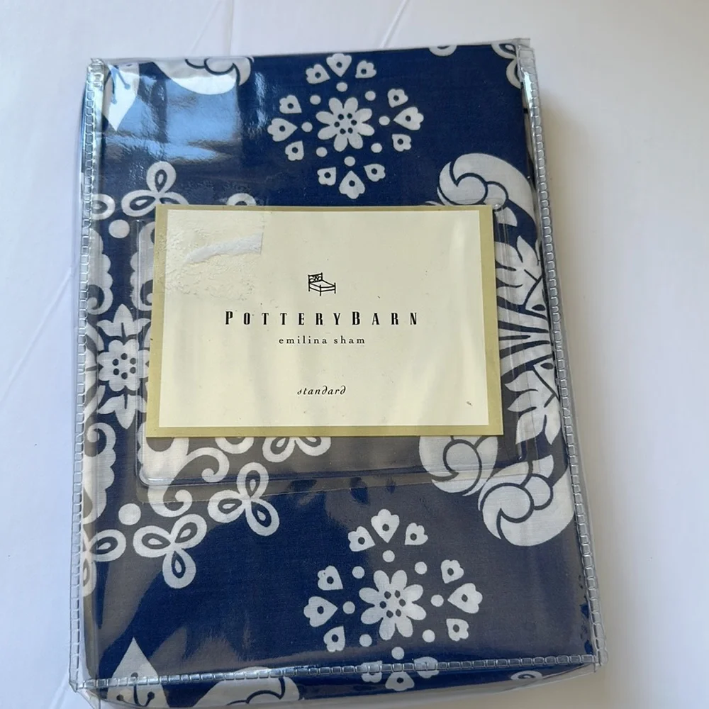 Pottery Barn Emilina Duvet twin with standard sham